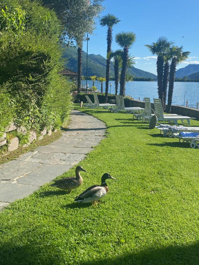 ביסונה Holiday On The Lake Lugano מראה חיצוני תמונה
